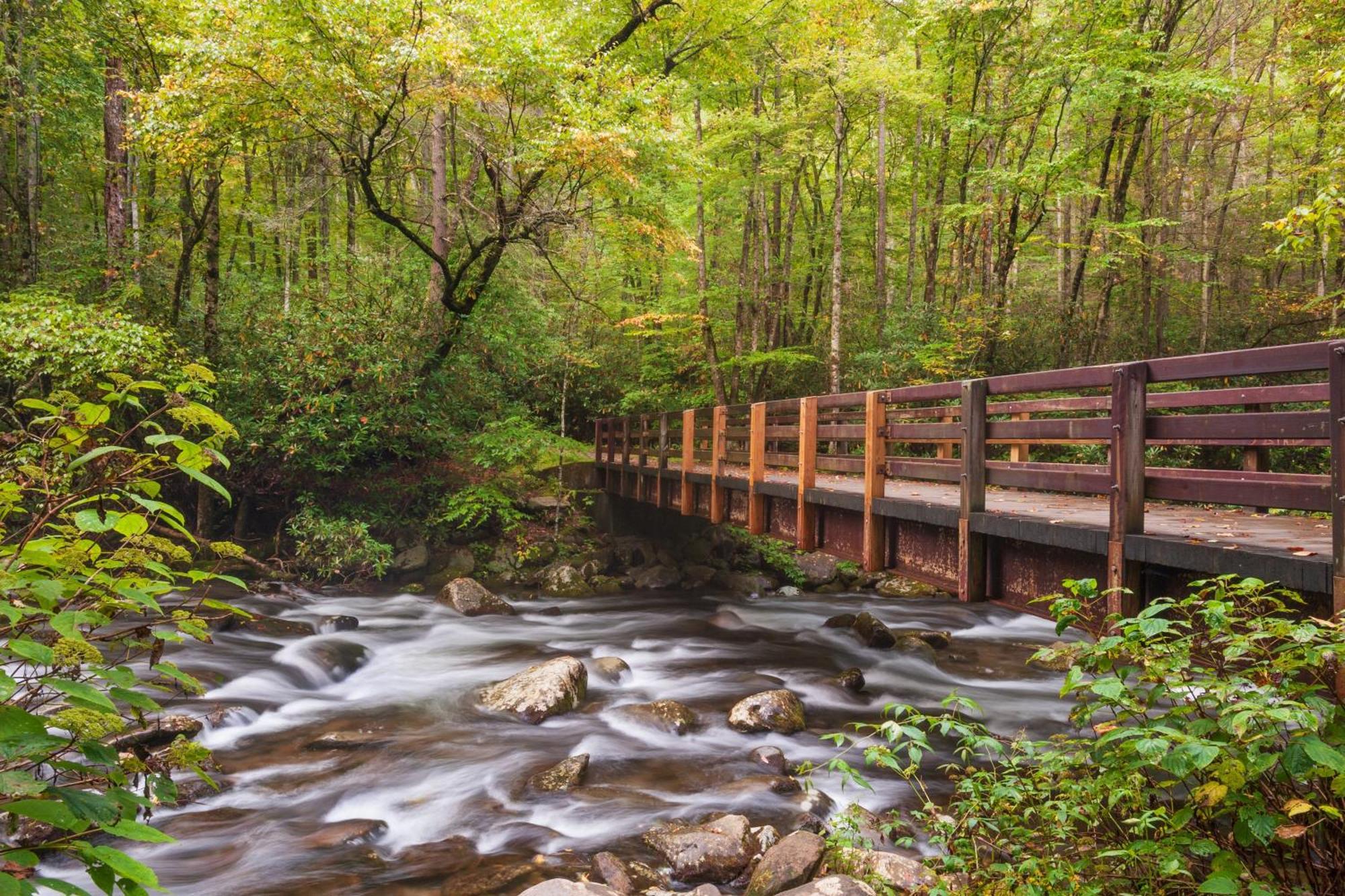 Rock Of Ages, Hot Tub, Game Room, Wifi, 1089 Free Tickets Each Paid Day, Dollywood And More Pigeon Forge Zewnętrze zdjęcie